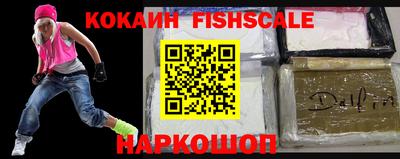 гашик Тверь
