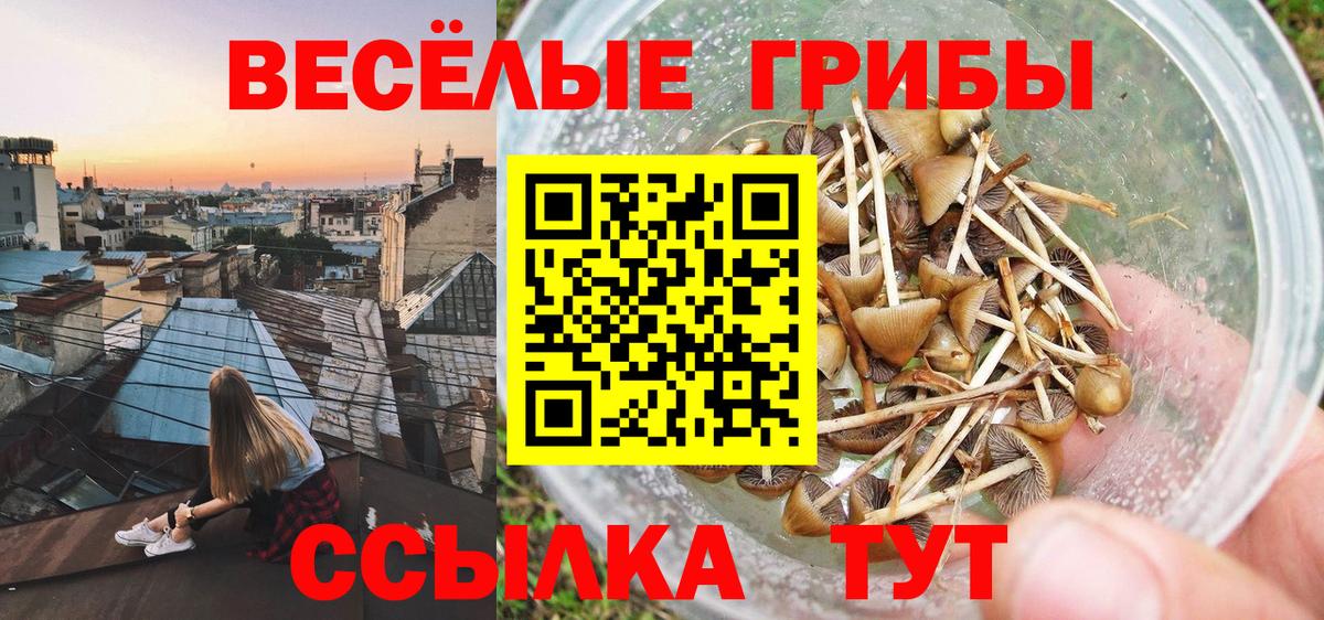 Галлюциногенные грибы Cubensis  Галлюциногенные грибы Cubensis  Норильск  Вход с VPN 